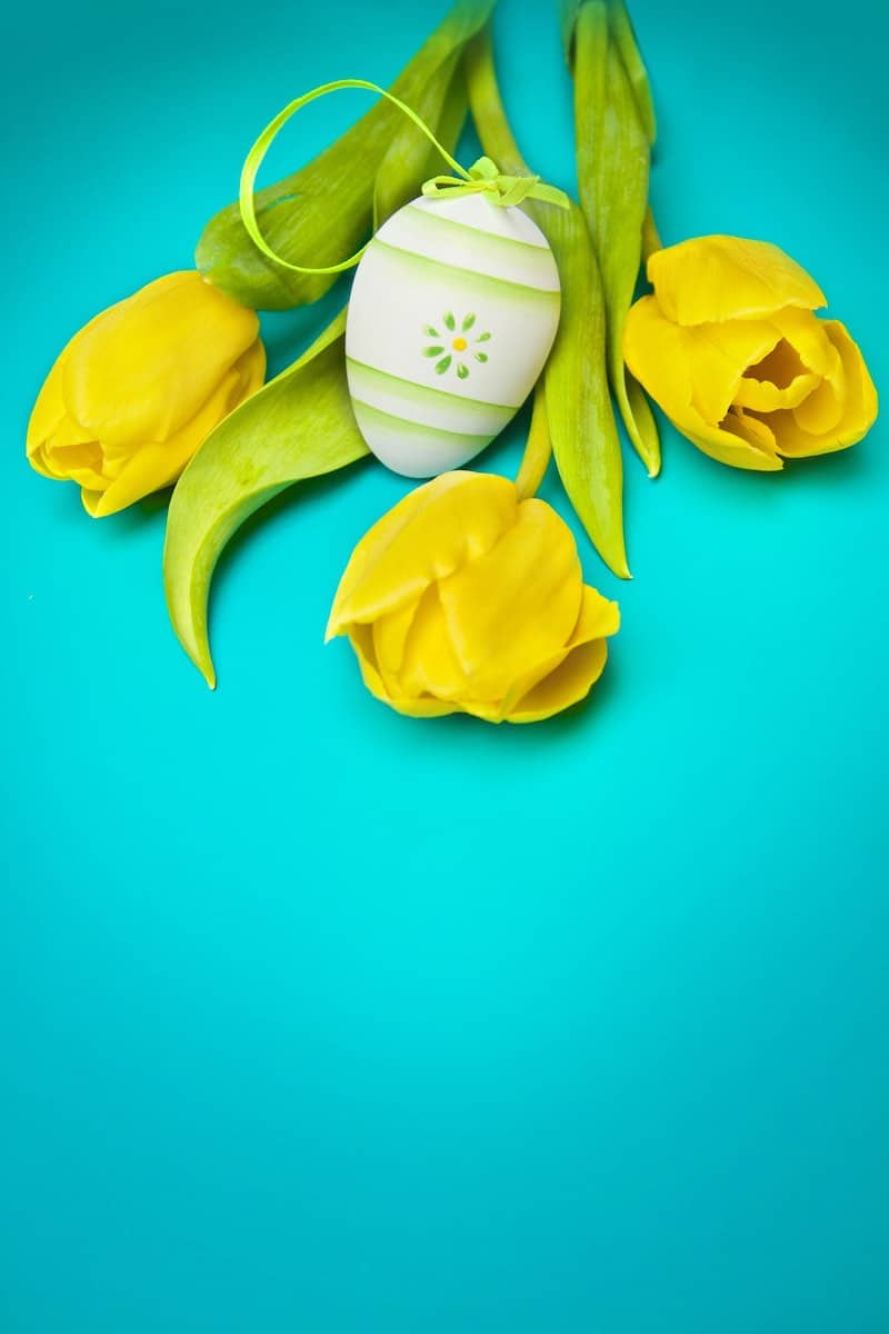 Easter-Egg-Flowers-Yellow-800x1200.jpg